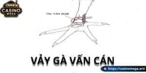 Đặc điểm về hình dạng của vảy